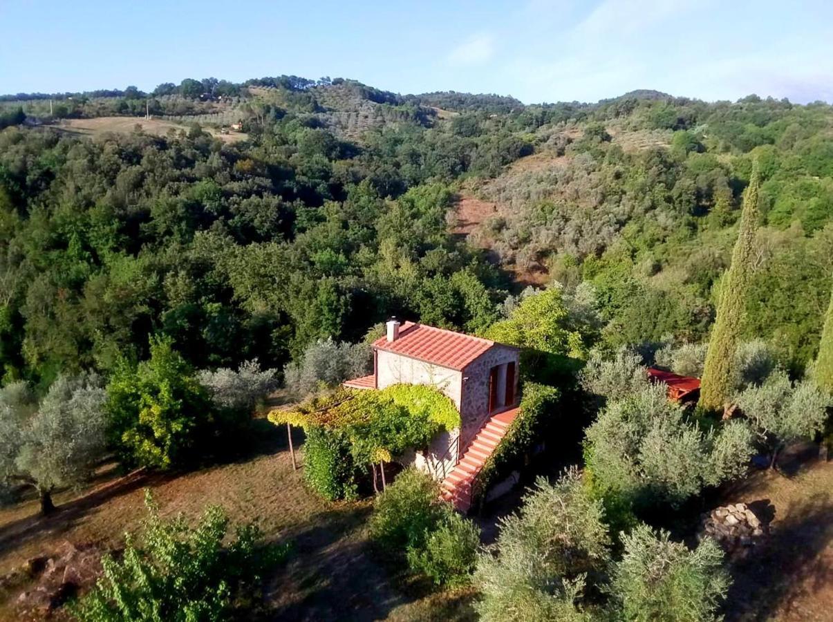 Вилла Ferienhaus Il-Pino Роккастрада Экстерьер фото
